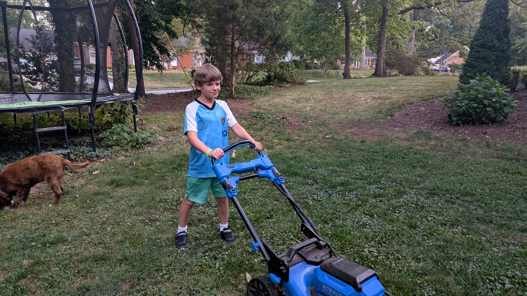 Brady pushing a lawn mower across a grassy yard